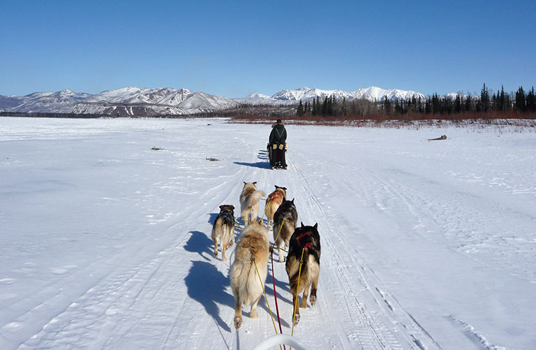Riding the Rails: Learning to Dog Sled in Alaska