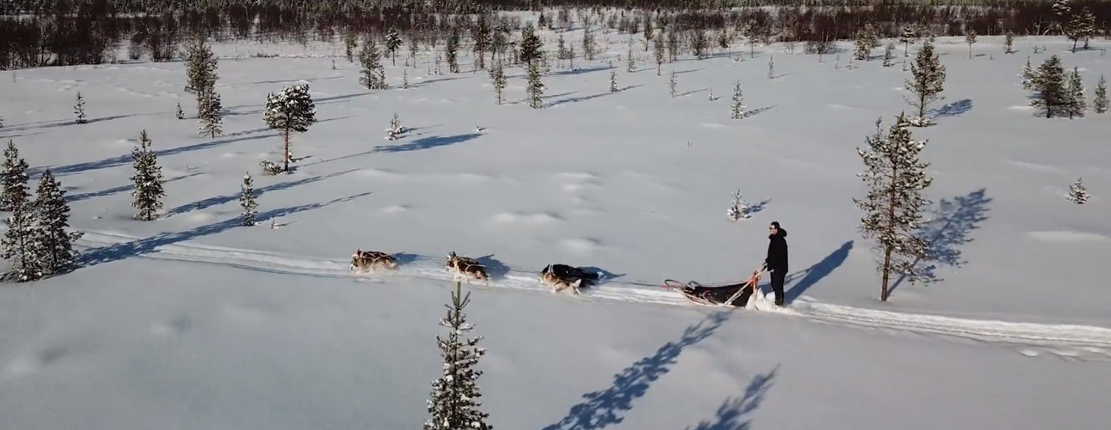 Video: Dog Sledding at the Top of the World