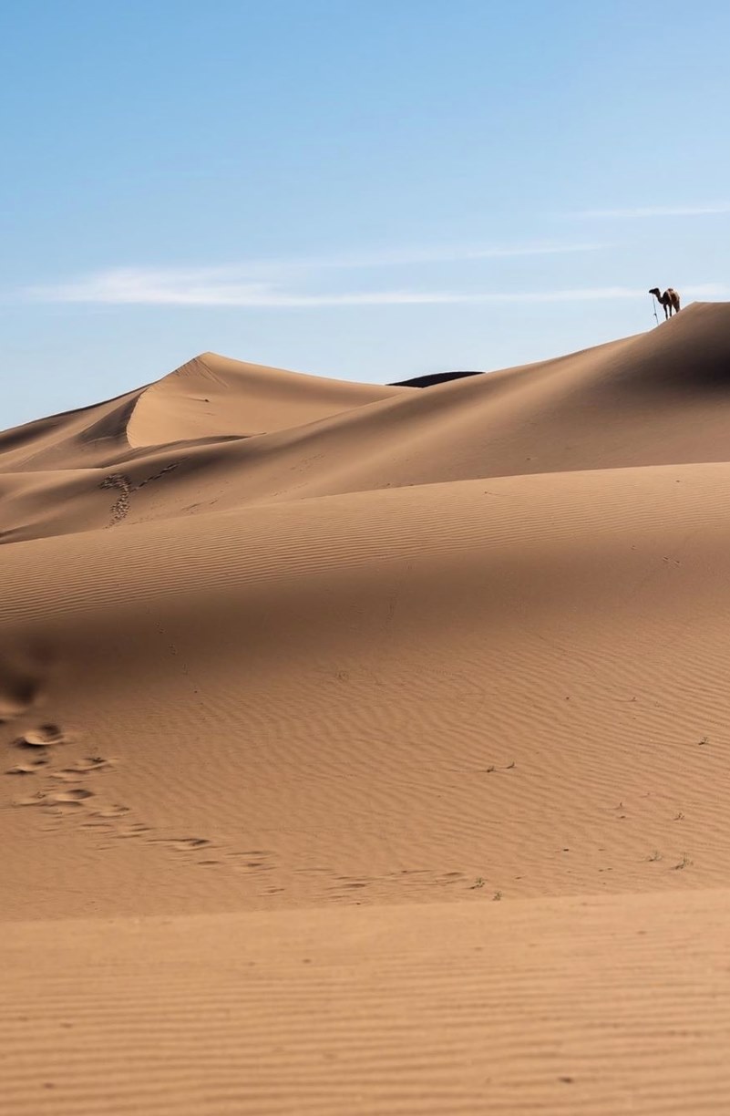 Dunes in the Sahara Desert, Africa.