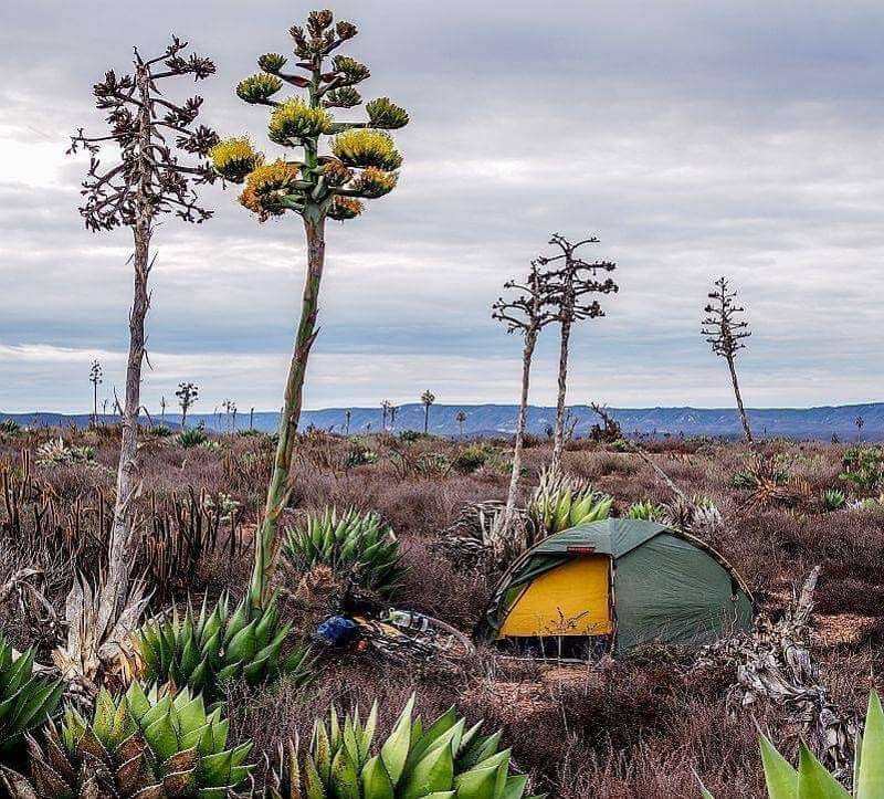 Camping in Baja California, Mexico