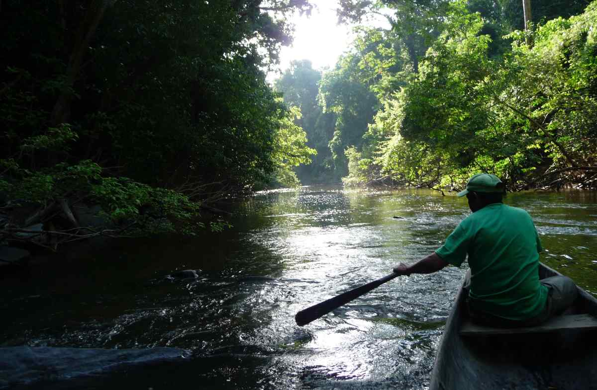 Canoeing on the Burro Burro River near Surama Lodge.