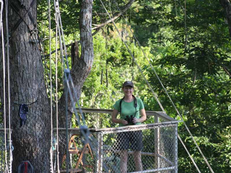 The author, checking out birds on the canopy walk at Atta Rainforest Lodge.