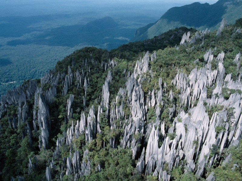 The Pinnacles are like a forest of limestone shards 147ft (45m) high.
