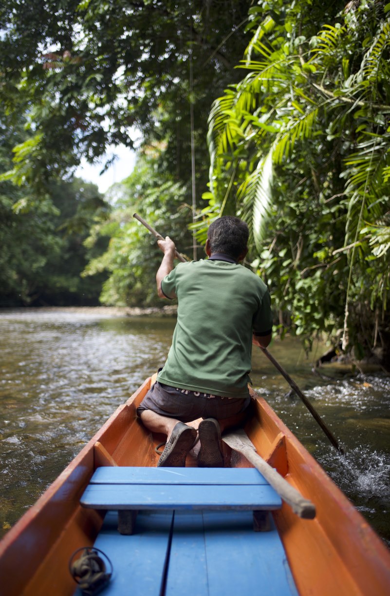 Noah, a freelance guide for Sarawak’s Borneo Adventures, paddles up the Sungai Melinau River on the way to the trailhead.