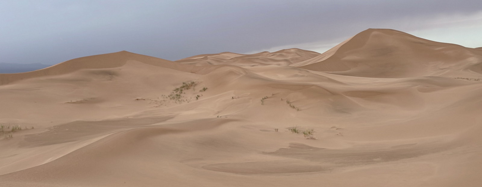 A Sandstorm in the Gobi Desert