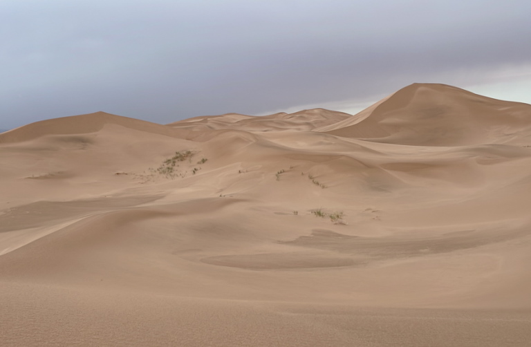 A Sandstorm in the Gobi Desert