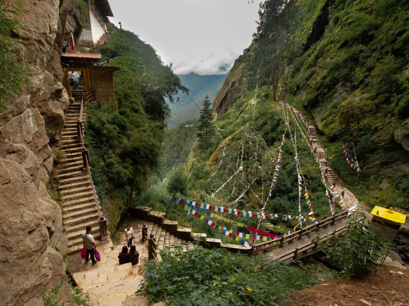 Near the entrance of the temple, Buddhist pilgrims follow a narrow stairway. The bear would have followed a similar path to reach the temple doors.