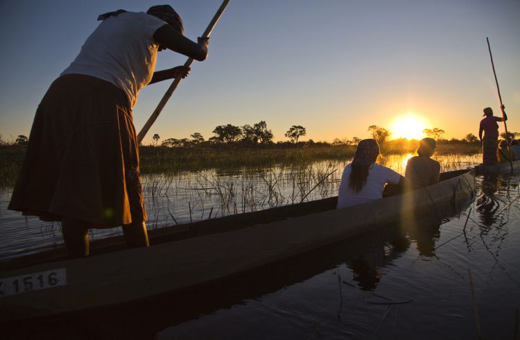 Traditional mokoros (dug-out canoes) in Okavango