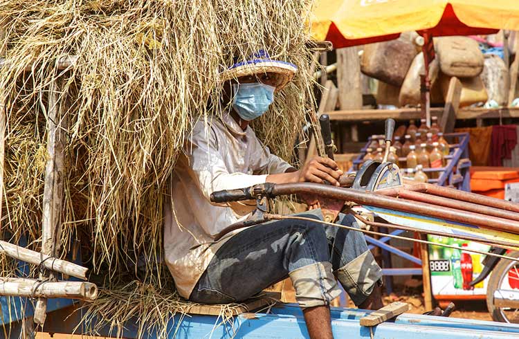 A man wearing a mask drives a vehicle stacked with hay in Cambodia