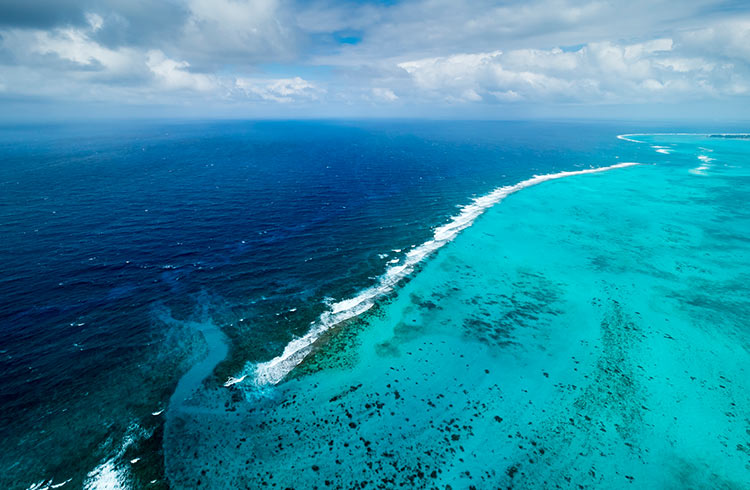 Outer reef off the coast of George Town in the Cayman Islands