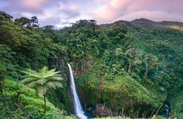 Catarata del Toro waterfall at sunset, Costa Rica