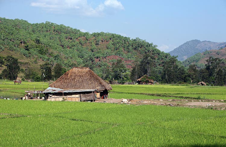 Timor Leste landscape