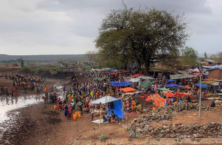 Colorful grocery and camel market in Ethiopia