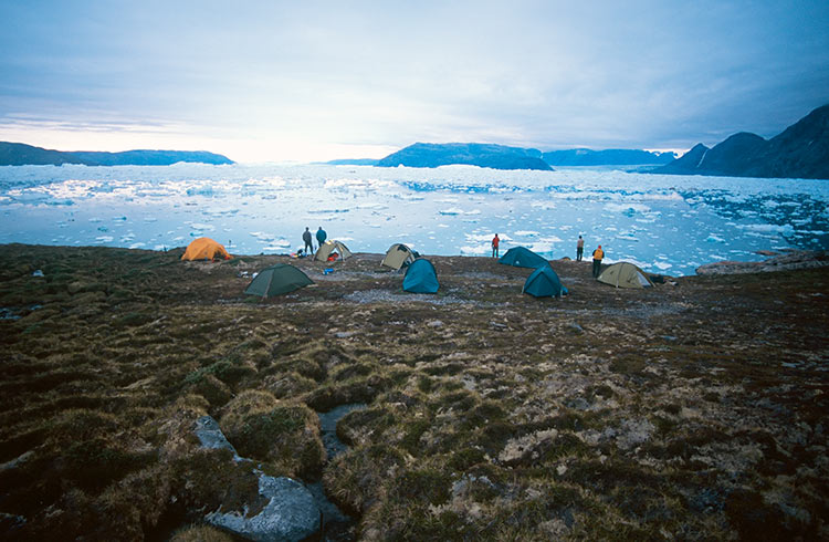 Campsite at iceberg filled fjord