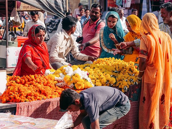 Women shopping for flowers