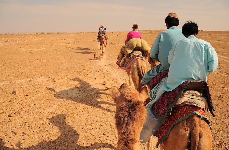 How to Ride a Camel: Stay Safe in the Desert