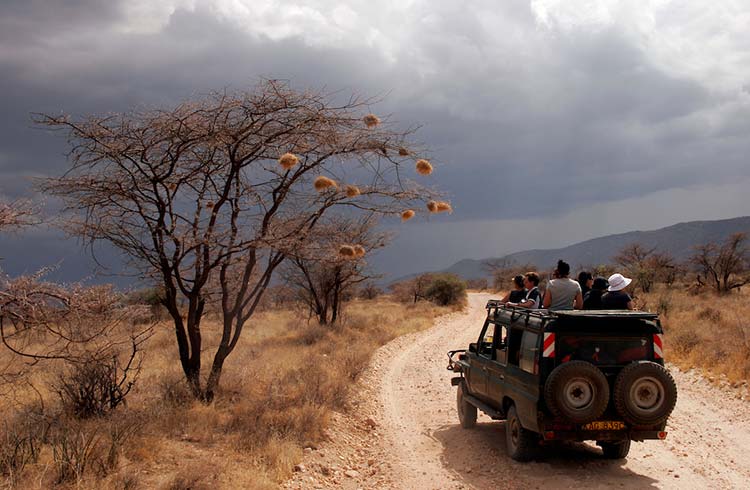 In a safari jeep in Kenya, with dark clouds in the distance