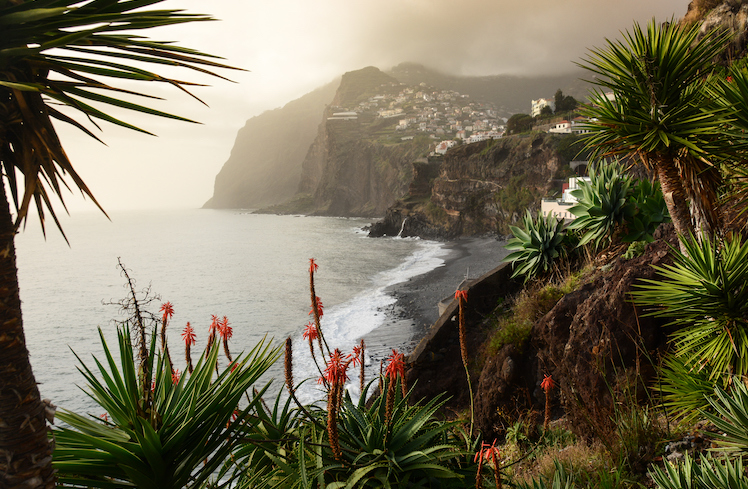 visit madeira covid restrictions