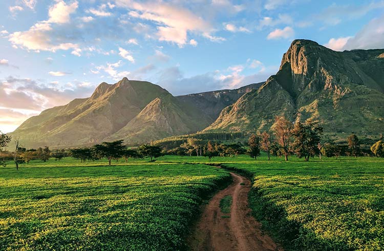 Mulanje Mountains in Malawi