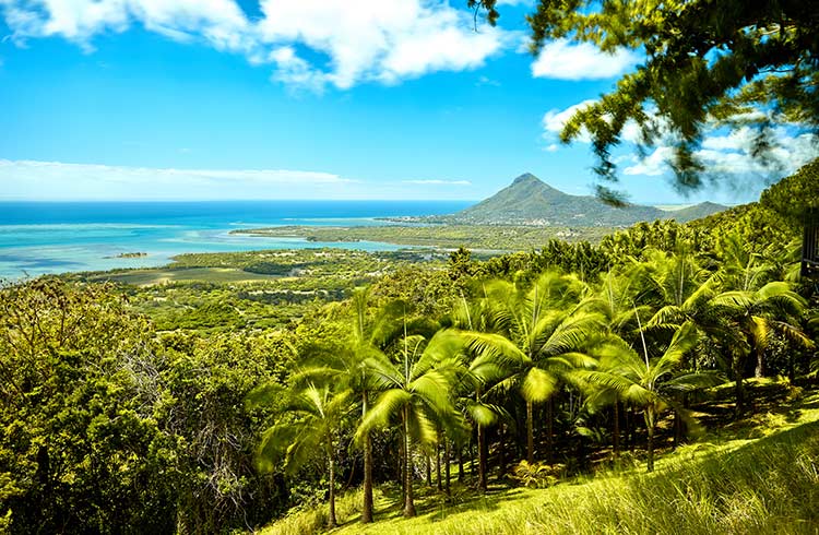 travel health mauritius