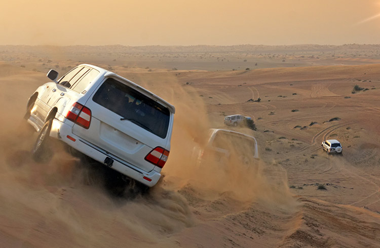 On a wild desert safari in the sand dunes of the UAE