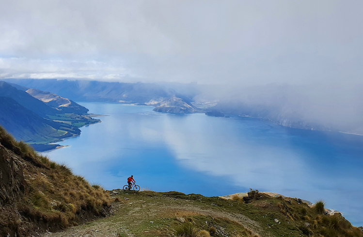 A cyclist overlooks a lake in new Zealand