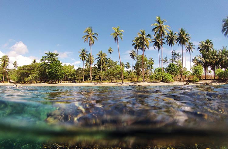A tropical beach in the Solomon Islands