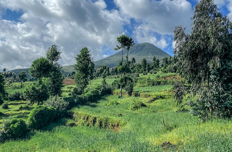 Is Rwanda Safe? 7 Essential Travel Tips for Visitors  