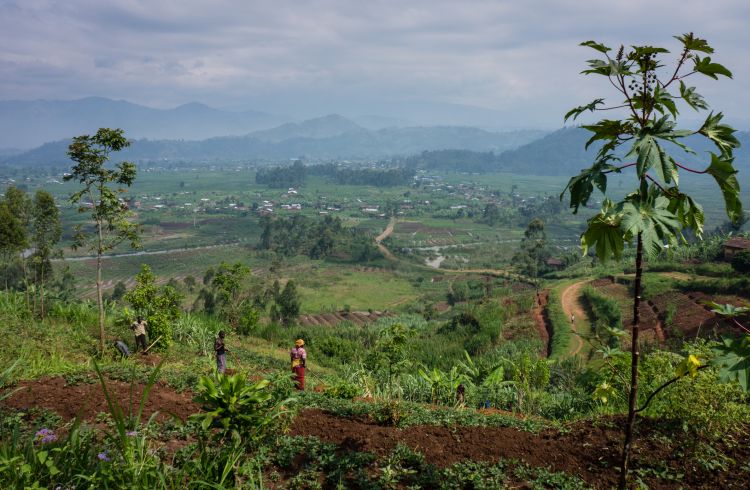 Rwandan countryside