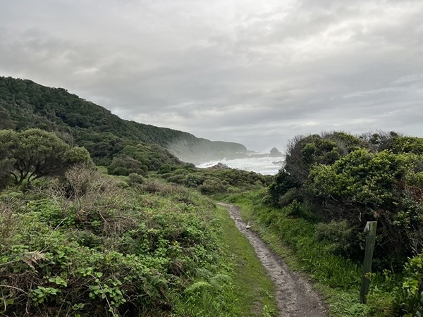 A cliffside path overlooking the ocean in South Africa