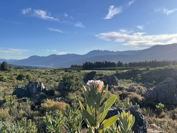 A plane in front of mountains in South Africa