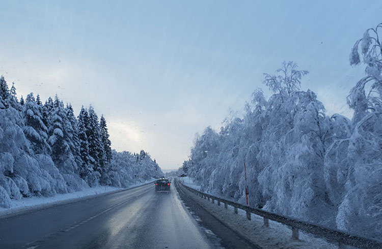 Road tripping in Lövånger, Sweden
