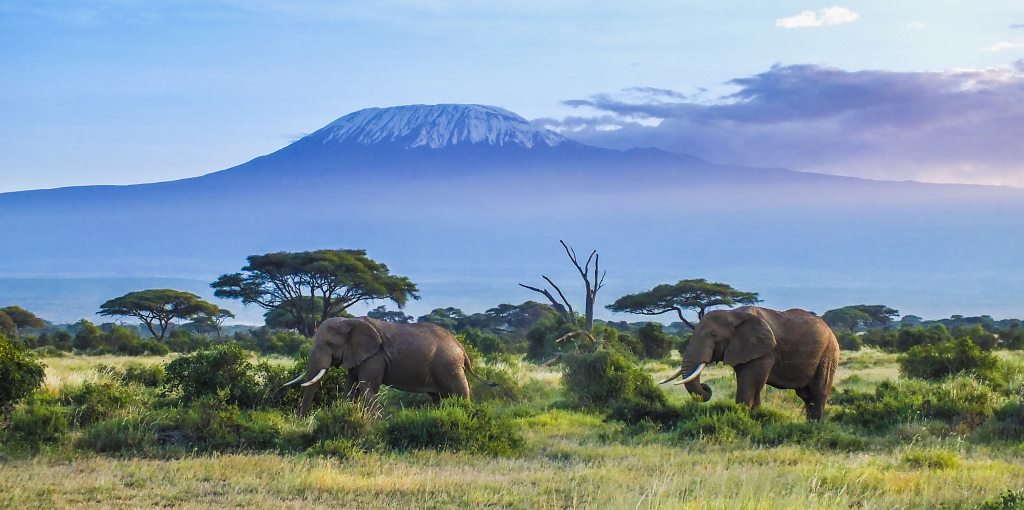 Latest Travel Alerts and Warnings for Tanzania
