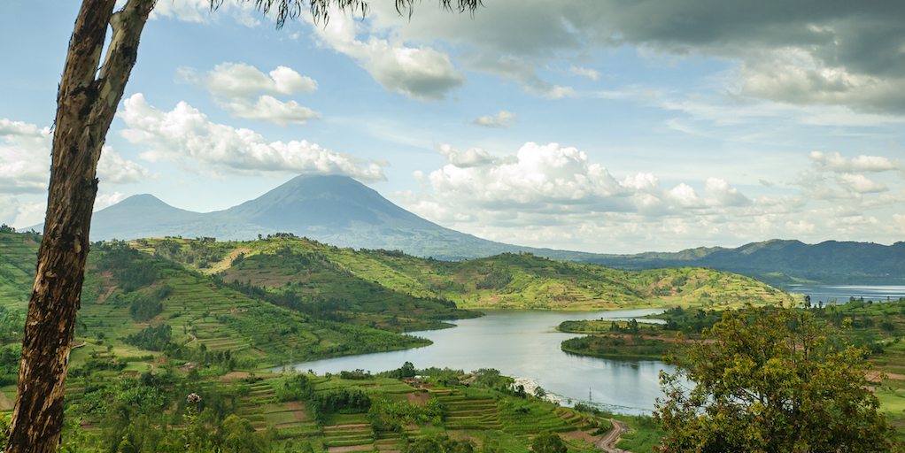 uganda travel meds