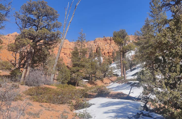 Red rock formations and snowy trails at Dixie National Forest in Utah, USA.