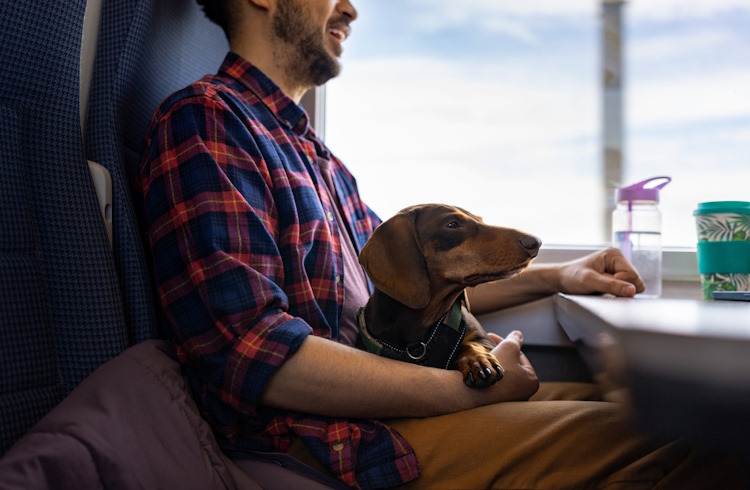 A man sits with his dachshund on his lap on a train in England.