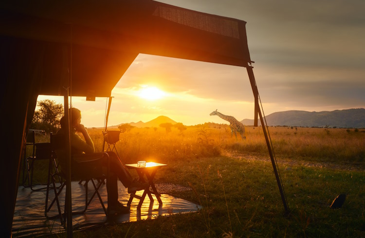 A woman sits in a luxury tent on a Tanzania safari.