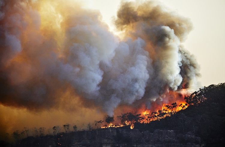 An out-of-control bushfire in the Blue Mountains of Australia.