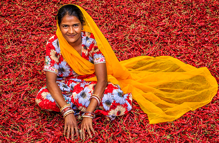 A young woman sorts chilli peppers in Jodhpur, India
