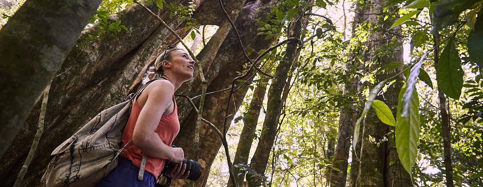 Ecotourism Costa Rica  WorldTrips Travel Insurance