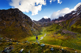 Security Evacuation Travel Insurance